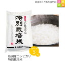 【ポイント10倍】新潟産 コシヒカリ 特別栽培米 5kg(5kg×1袋) 令和元年産 米 5kg 送料無料 こしひかり 新潟 白米 精米 真空パック