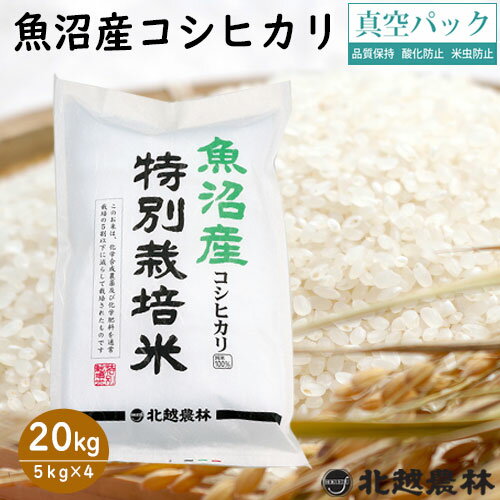 魚沼産コシヒカリ特別栽培米20kg(5kg×4袋) 真空パック 令和5年産米 20kg 送料無料 こしひかり 新潟 白米 精米 北越農林