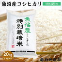 魚沼産コシヒカリ特別栽培米20kg(5kg×4袋)令和5年産米 20kg 送料無料 こしひかり 新潟 白米 精米 北越農林