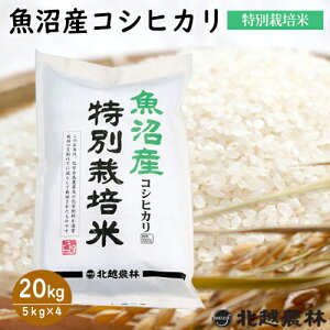 魚沼産コシヒカリ 特別栽培米 20kg(5kg×4袋) 令和4年産 食味ランキング特A 米 20kg 送料無料 こしひかり 新潟 白米