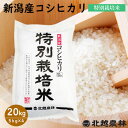 新米 新潟産 コシヒカリ 特別栽培米20kg(5kg×4袋) 令和3年産 20kg 送料無料 こしひかり 新潟 白米