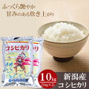 お米 ギフト 新潟産 コシヒカリ 10kg(5kg×2袋) 令和5年産 内祝い お返し 送料無料