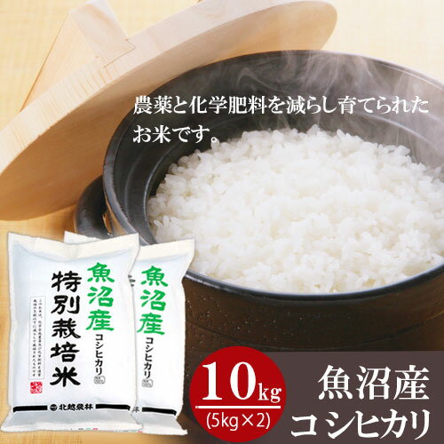 ＼今だけポイント2倍!!／お米 ギフト 魚沼産 コシヒカリ 特別栽培米 10kg(5kg×2袋) 真空パック 令和5年産 内祝い お返し 送料無料