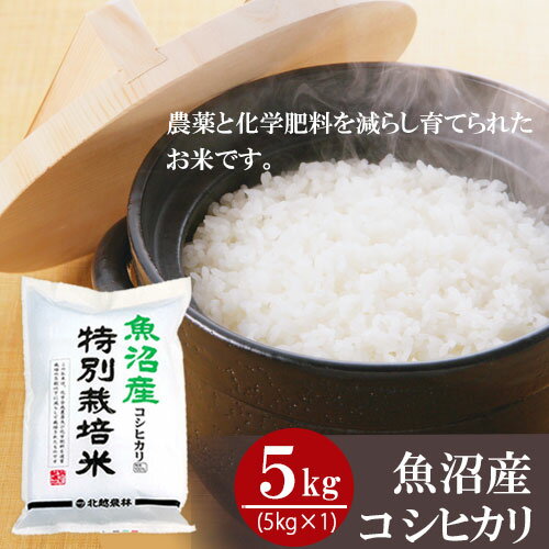 お米 ギフト 魚沼産 コシヒカリ 特別栽培米 5kg 5kg 1袋 真空パック 令和5年産 内祝い お返し 送料無料