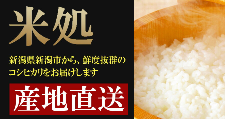 内祝い お返し 新潟産 コシヒカリ 5kg （5kg×1袋）令和元年産 お米 ギフト