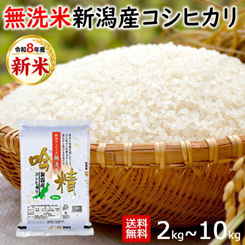 楽天市場】無洗米 5kg（総重量（穀物）2.0 ～ 2.9kg）の通販