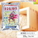 【新米】【令和元年産】新潟産 コシヒカリ 10kg(5kg×2袋) 米 10kg 送料無料 こしひかり 新潟 白米