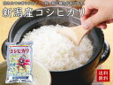 新潟産コシヒカリ10kg(5kg×2袋)令和5年産米 10kg 送料無料 こしひかり 新潟 白米 精米 北越農林 2