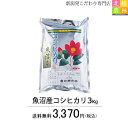 【ポイント10倍】コシヒカリ 3kg 送料無料 魚沼産コシヒカリ3kg（3kg×1袋）【令和元年産】【こしひかり】新潟から産地直送