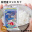 お買得200円OFFクーポン発行!!佐渡産コシヒカリ10kg(5kg×2袋) 令和5年産米 10kg 送料無料 こしひかり ..