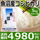 【米 5kg 送料無料】魚沼産コシヒカリ5kg(5kg×1袋...