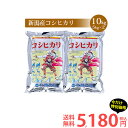 【マラソン特別価格16％OFF】令和元年産 新潟産 コシヒカリ 10kg(5kg×2袋) 米 10kg 送料無料 こしひかり 新潟 白米