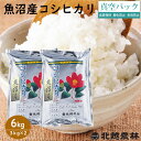 魚沼産 コシヒカリ 6kg(3kg×2袋) 真空パック 送料無料 令和2年産 食味ランキング特A こしひかり 新潟から産地直送