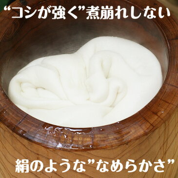 富山県産 新大正 もち米3kg(約二升)【令和2年度産】【プレミアム最高級餅米】