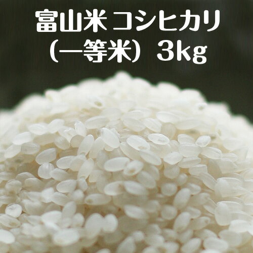 富山県産コシヒカリ(富山米・一等米)3kg【新米・令和元年度産】