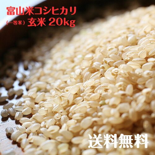 富山県産コシヒカリ玄米(一等米)20kg【令和5年度産】