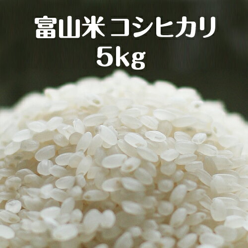 富山県産コシヒカリ5kg【令和5年度産】