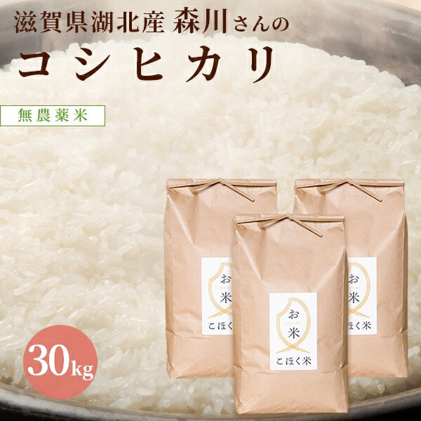 滋賀県湖北産森川さんのコシヒカリ30kg【無農薬米】