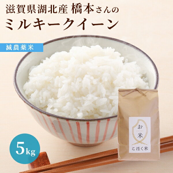 令和4年 滋賀県湖北産橋本さんのミルキークイーン 5kg【減農薬米】【白米・玄米】のサムネイル