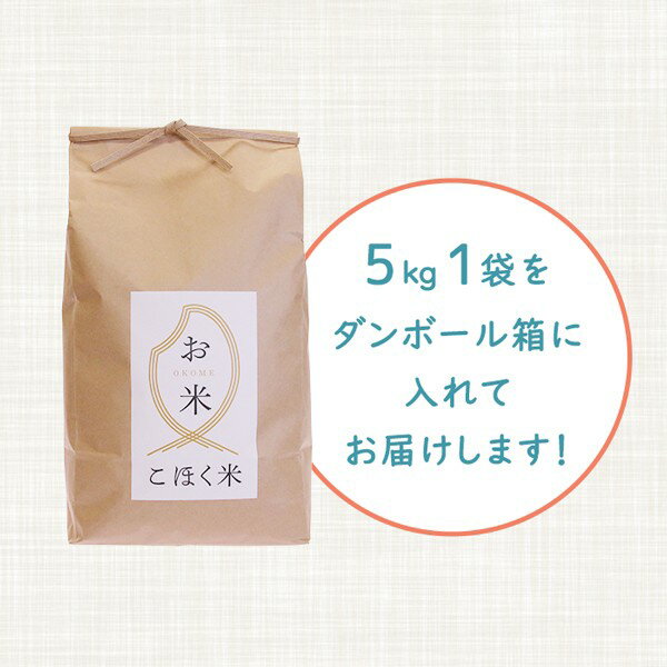 令和2年滋賀県湖北産湖北のコシヒカリ5kg【減農薬米】【送料無料】【白米・玄米】