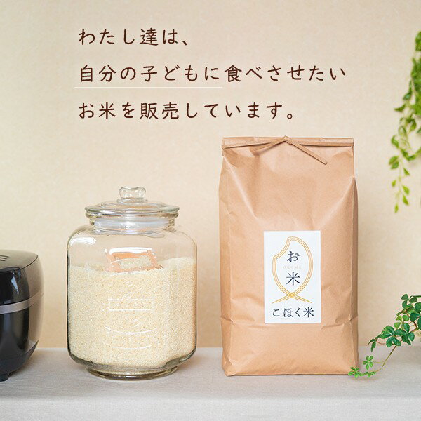 令和2年滋賀県湖北産湖北のコシヒカリ10kg【減農薬米】【送料無料】【白米・玄米】