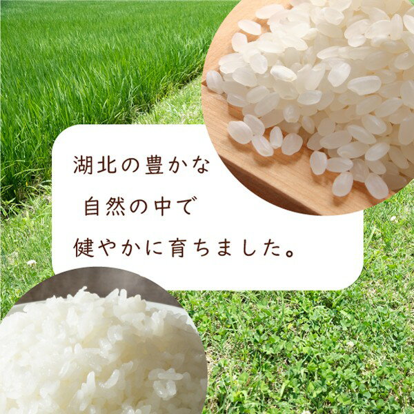 令和2年滋賀県湖北産湖北のコシヒカリ10kg【減農薬米】【送料無料】【白米・玄米】