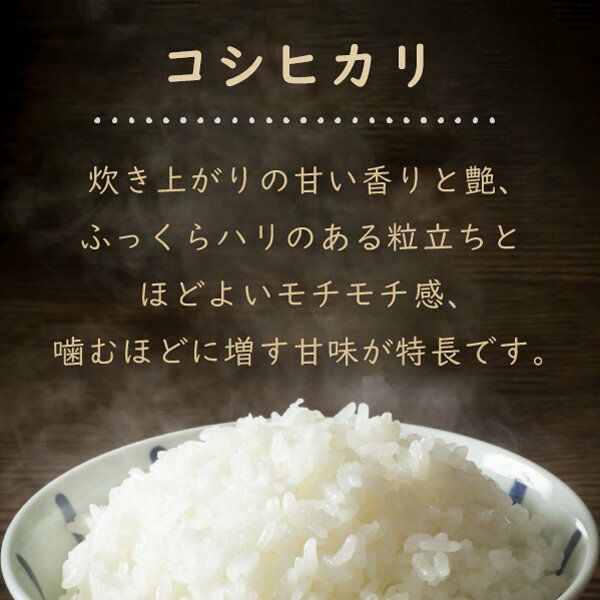 令和2年滋賀県湖北産湖北のコシヒカリ10kg【減農薬米】【送料無料】【白米・玄米】