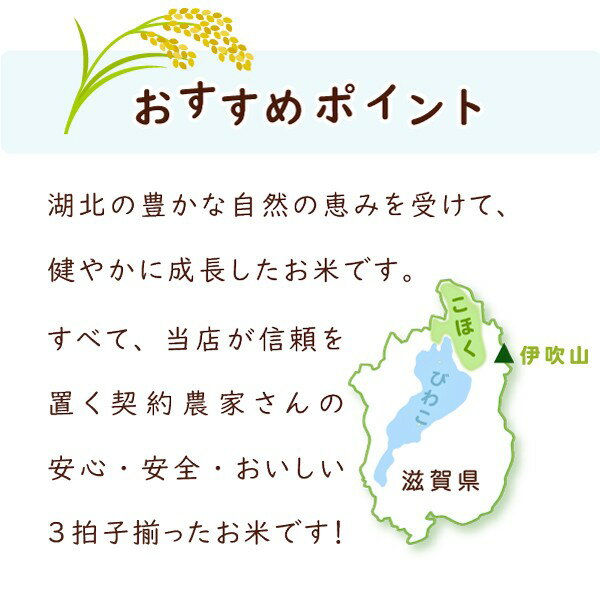 令和2年滋賀県湖北産湖北のコシヒカリ10kg【減農薬米】【送料無料】【白米・玄米】