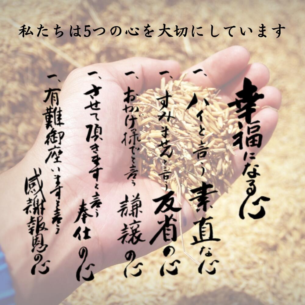 無洗米ななつぼし10kg(5kgtimes;2)北海道産送料無料