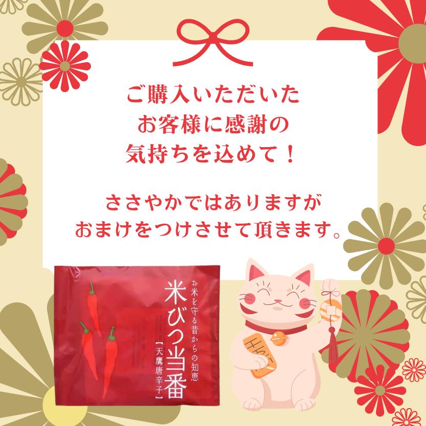 令和5年産　ゆめぴりか 5kg 北海道産 お米 白米 精米 送料無料（沖縄、離島を除く） 2