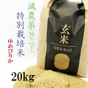 減農薬玄米 ゆめぴりか 特別栽培米 20kg（5kg×4）令和5年 北海道産 お米 送料無料（沖縄、離島を除く）