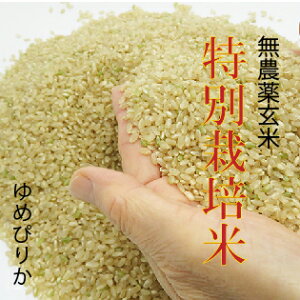 無農薬有機栽培米ゆめぴりか30kg玄米送料無料（沖縄・離島を除く）