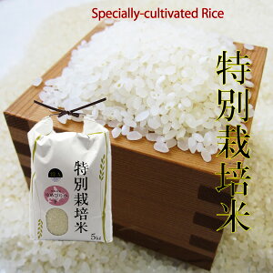 減農薬特別栽培米　ゆめぴりか 5kg　 精米　令和3年北海道産
