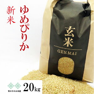 新米 玄米 20kg(5kg×4) ゆめぴりか 令和4年北海道産　送料無料