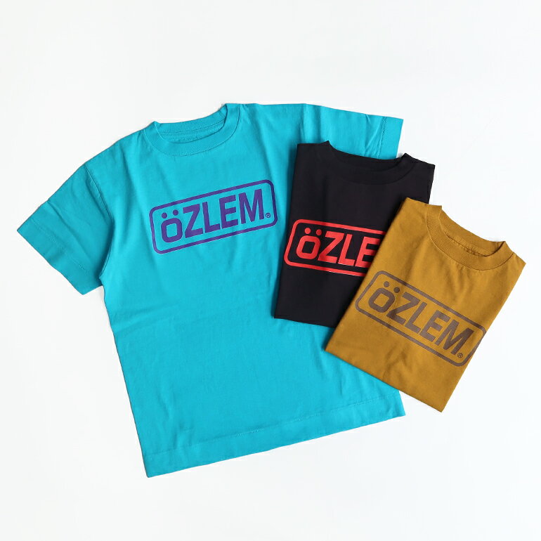 necessary or unnecessaryOZLEM T
