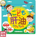 【送料無料(ゆうパケット)】ユニマットリケン こども肝油ドロップグミ 100粒 栄養機能食品