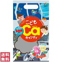 【送料無料(ゆうパケット)】ユニマットリケン こどもカルシウム+乳酸菌キャンディ 10本入