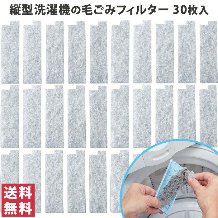 【送料無料(ゆうパケット)】縦型洗濯機の毛ごみフィルター 30枚入 トップラボ洗濯機 縦型 フィルター ..