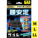 ケアガード 腰安定 着脱式補助ベルト 1枚入 M / L /LL腰 サポーター ベルト 補助ベルト 腰痛