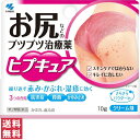 【第2類医薬品】【送料無料(ゆうパケット)】小林製薬 ヒプキュア お尻などのブツブツ治療薬 10g【P】