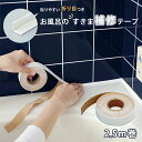 【送料無料(ゆうパケット)】OKN オカノ お風呂のすきま補修テープ 幅2.2cm×2.5m トップラボ