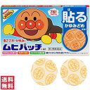 【第3類医薬品】【送料無料(ゆうパケット)】ムヒパッチA アンパンマン 76枚 池田模範堂【セルフメディケーション税制対象】【大】