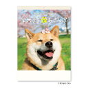 新日本カレンダー NK35 柴犬まるとおさんぽカレンダー