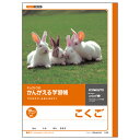 日本ノート L8R かんがえる学習帳 国語 10マス リーダー入 学習帳 ノート