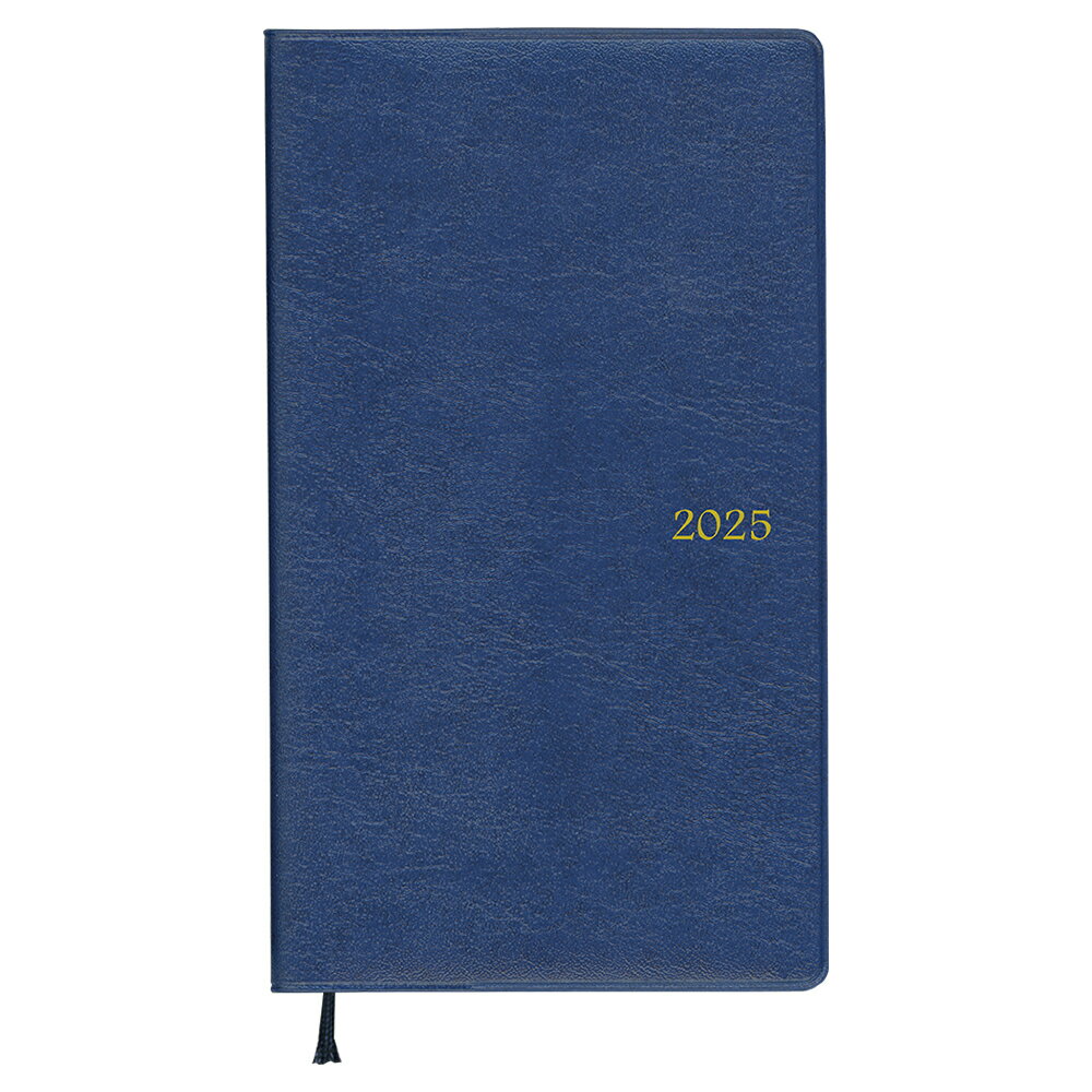 ダイゴー 2025 アポイント Appoint 1ヶ月 ブロック ミント E1162 手帳判 マンスリー 日曜始まり 月間 ブロック 手帳 スケジュール スケジュール帳 2025年 4月始まり