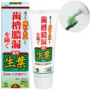 小林製薬 生葉 しょうよう 歯槽膿漏を防ぐ 薬用ハミガキ ハーブミント味 100g 歯磨き粉