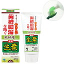 小林製薬 生葉 しょうよう 無研磨タイプ 歯槽膿漏を防ぐ 薬用ハミガキ ハーブミント味 95g 歯磨き粉