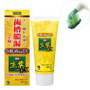 小林製薬 生葉EX しょうようEX 歯槽膿漏を防ぐ 薬用ハミガキ ハーブミント味 100g 歯磨き粉