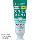 ライオン キシリデントライオン ミント 120g 歯磨き粉 歯みがき粉