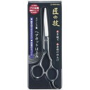 【送料無料(ゆうパケット)】匠の技 ステンレス製 ヘアカットはさみ G-5020【GREENBELL ハサミ ヘアカット】
